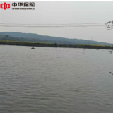中华保险宁乡市支公司首单承保淡水水产养殖天气指数保险