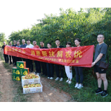 中国人寿财险涟源支公司助力，十甲村黄桃销售难题迎刃而解