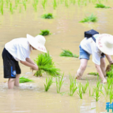 太平人寿“此生要去的100个地方”第二季湖南韶山站活动圆满举办