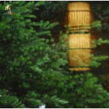 视频丨文学名家品武陵 寻梦心中桃花源