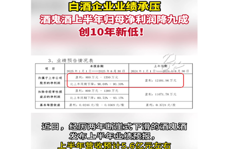 酒业半年报丨酒鬼酒上半年归母净利润创10年新低