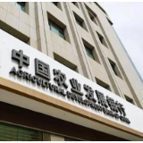 农发行云溪区支行助力天然橡胶采购，稳固产业供应链