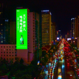 武陵酒的武林