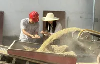 农发行耒阳市支行：金融“活水”护航夏粮收购