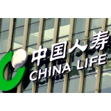 “四抓落实”淬炼“国寿速度”:中国人寿马鞍山分公司理赔案均支付时效大幅跃升