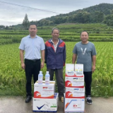 中华财险隆回县支公司：捐赠农药物资助力水稻减损，筑牢粮食安全防线