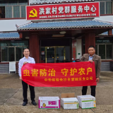 中华财险望城支公司迅速行动,全力抵抗望城区水稻病虫害危机