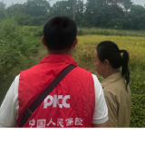 智慧赋能“新农保” 人保财险运用数字技术护航渌口乡村振兴