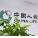 绿水青山间的保险力量：中国人寿绿色金融体系助经济生态共生