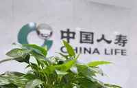 绿水青山间的保险力量：中国人寿绿色金融体系助经济生态共生