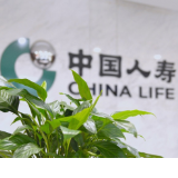 两款新产品上市,中国人寿分红险矩阵再添“鑫”动力