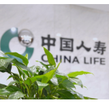 中国人寿：以保险为笔绘就乡村全面振兴新图景