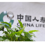 中国人寿：守护“她力量” 织密女性健康保障网