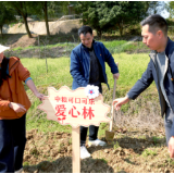 中粮可口可乐华中公司赴望城青天寨开展植树节公益活动