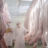红星·舌尖安全丨全流程严管生猪屠宰 守住百姓 “肉案子” 安全