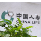 中国人寿荣获全国智慧医保大赛多个奖项