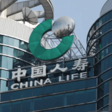 国寿守护 燃动亚沙——中国人寿以专业保障护航第六届亚洲沙滩运动会