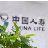 中国人寿2025年总保费、队伍规模、内含价值、一年新业务价值稳居行业第一