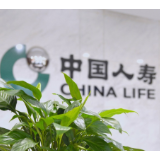 从西南边陲到东北冰城：普惠保险如何托起千万家庭的希望