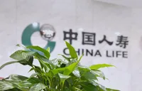 从西南边陲到东北冰城：普惠保险如何托起千万家庭的希望