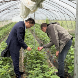 春潮涌动农事忙 湘潭天易农商银行梅林桥支行300万元专项信贷“贷”动春耕