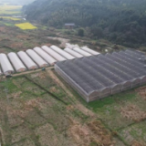 金融活水润沃野 农发行郴州市分行2亿元贷款绘出资兴春耕新图景