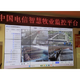 5G“掌”控养猪日常——衡东养殖户的逆袭