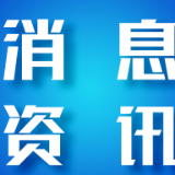 保靖农商银行:“金融+茶香”双赋能 特色采茶劳动助力保靖黄金茶发展