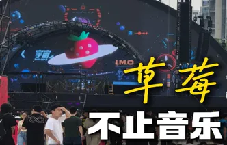 婉婉周末丨草莓音乐节：不止音乐，还能这样玩