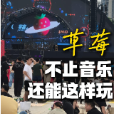 婉婉周末丨草莓音乐节：不止音乐，还能这样玩