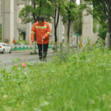 “五一”致敬平凡坚守丨中粮可口可乐华中公司慰问城市户外劳动者