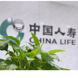 服务温暖亿万人:国寿“十四五”适老关怀1.3亿次,消保宣教触达16亿
