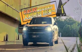 全油门丨乐道L80辅助驾驶测试 人机共驾给好评！