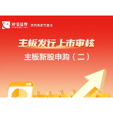 主板发行上市审核丨主板新股申购（二）