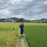 农业专家田间会诊|中华财险浏阳支公司水稻保险首笔理赔落地