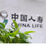 中国人寿荣获第十七届天马奖“上市公司投资者关系管理股东回报奖”