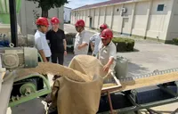 澧水畔稻浪飘香，农发行临澧县支行护航夏粮收购“加速度”