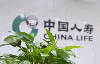 30年行业标杆，中国人寿个险高质量发展之路