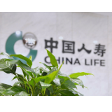 30年行业标杆,中国人寿个险高质量发展之路