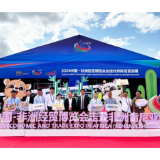 展达全球,会引未来:一家湖南会展企业的出海方法论