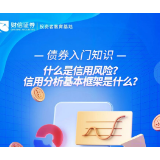 债券入门知识丨什么是信用风险？信用分析基本框架是什么？
