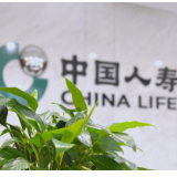 中国人寿中报里的“长期主义” 解码头部险企发展底层逻辑