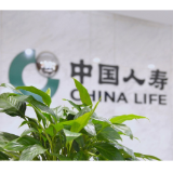 当AI遇见保险 看中国人寿的科技金融实践