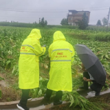 科技赋能政保协同 农险兜底纾解民忧 人保财险湖南省分公司“为民办实事”案例