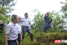 怀化学院教授到沅陵县盘古乡杨溪村考察指导乡村振兴