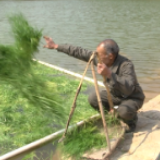 靖州：陈远明的养鱼致富经