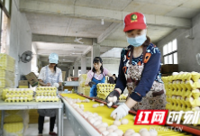 党建怎么带着脱贫走 这些隆回人有话说