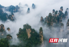 天子山：谁人识得天子面 归来不看天下山