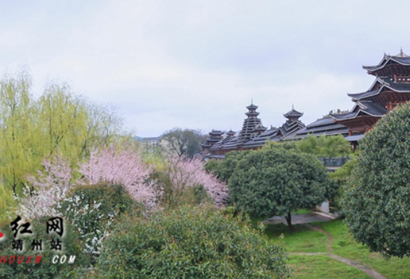 靖州江东风雨桥：花红柳绿春意闹 别样风光惹人醉