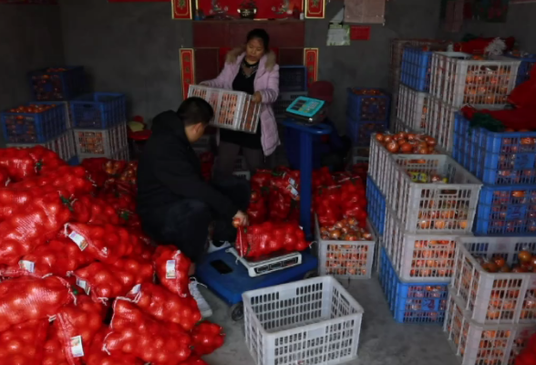 爱心传“橙”，怀化义工采购7000斤冰糖橙送给低收入家庭